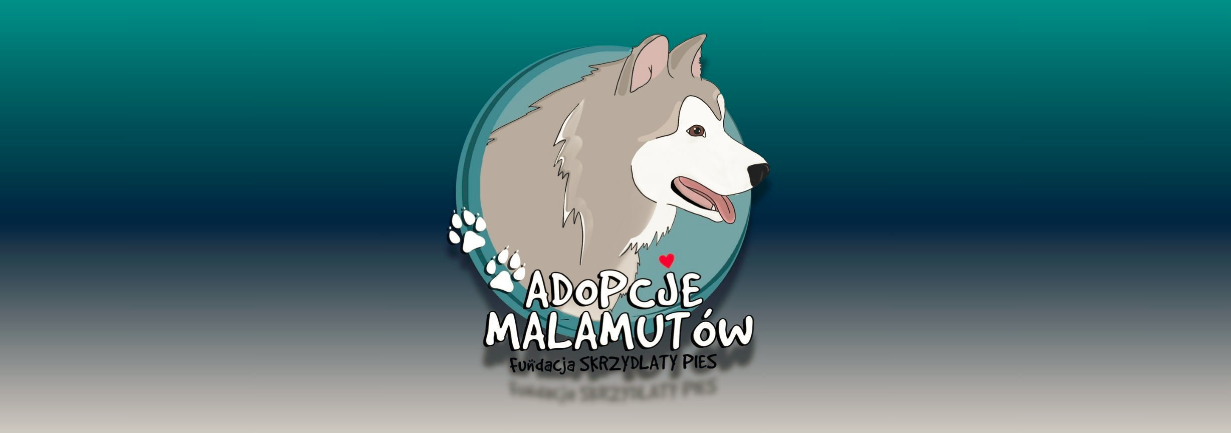 Adopcje Malamutów Fundacji Skrzydlaty Pies